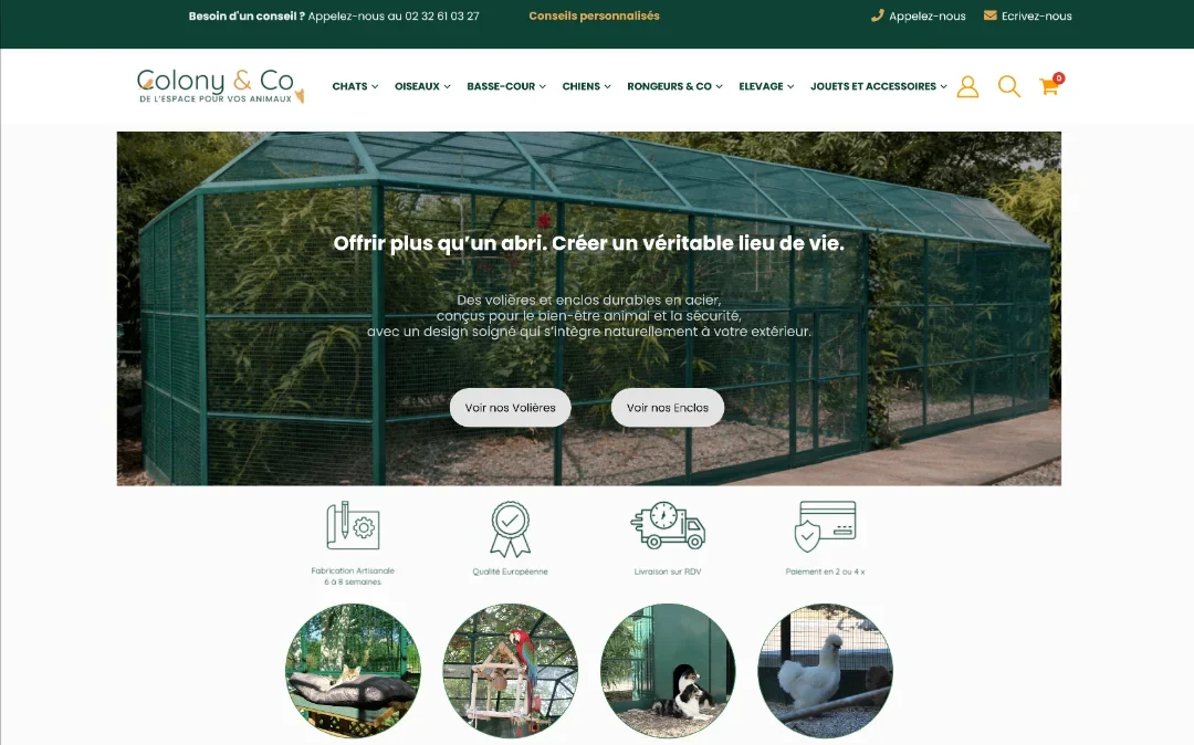 Page d'accueil de la boutique Colony and Co